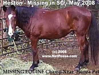MISSING EQUINE Champ Near  Honea Path , SC, 29654